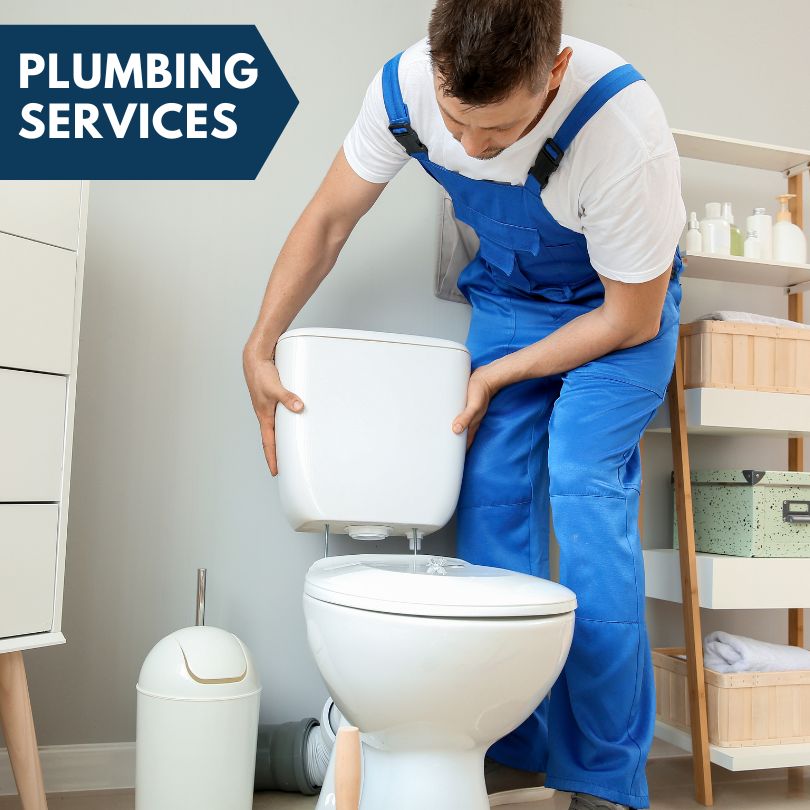 Plumbing Company in Austinville, IA